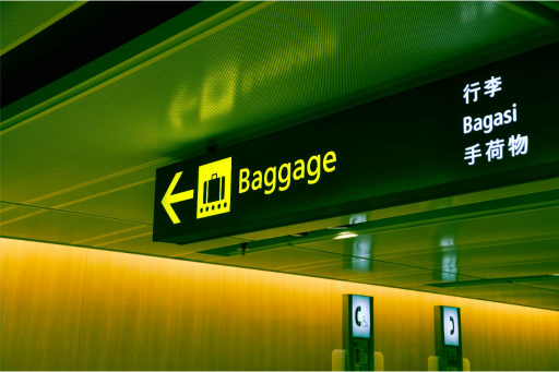 Sign at an airport leading to baggage claim area with several different language translations of the word “baggage”.